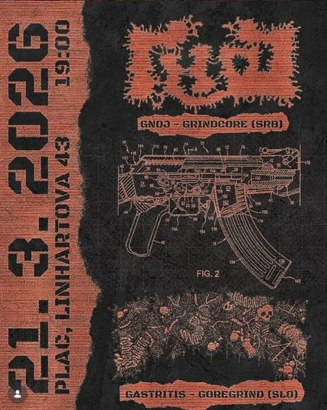 Gnoj in Gastritis - Punk koncert 