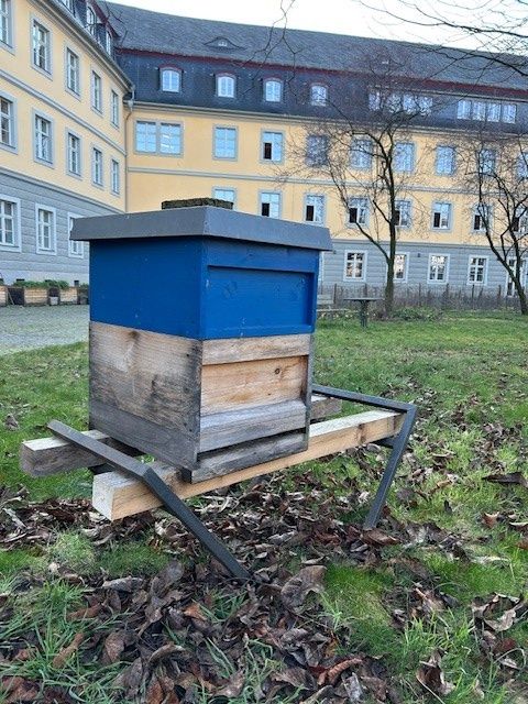 Imkern rund ums Bienenjahr -  Vorbereitung auf die erste Honigernte