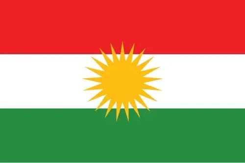 Demonstrace na podporu Kurdů v Rojavě