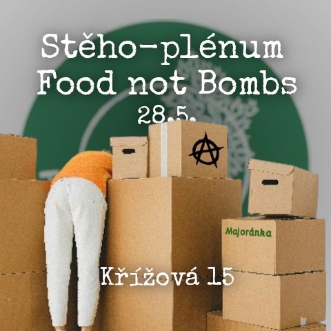 Stěho-plénum Food not Bombs, 28. května, Křížová 15. V popředí stěhovací krabice.