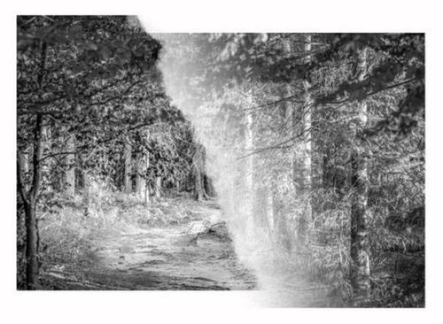 Ammertal / Wicke: Da capo – Lyrik trifft auf Fotografie