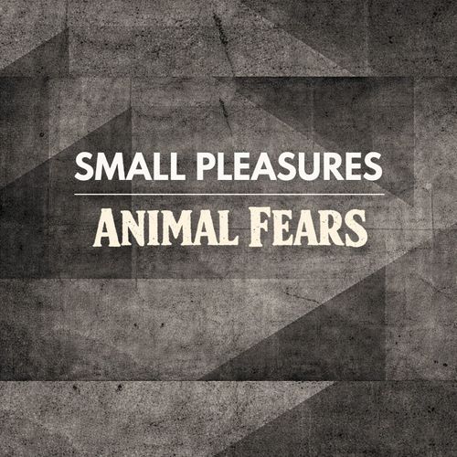 Small Pleasures (post-punk-duo, can) + Animal Fears (indie-punk/noise-pop, bln)