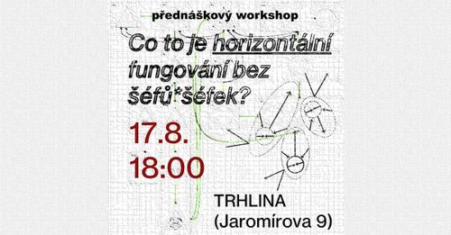 Co je horizontální fungování bez šéfů*šéfek?