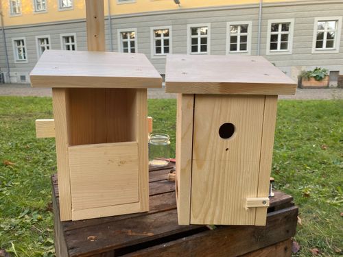 Alle Vögle sind schon da