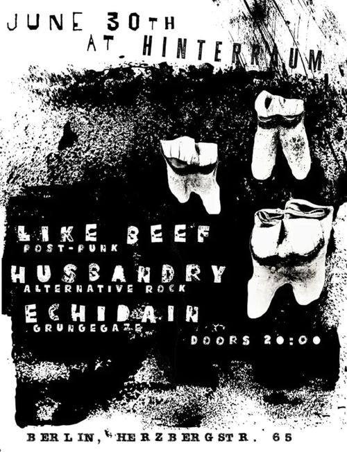Like Beef + Husbandry + Echidain