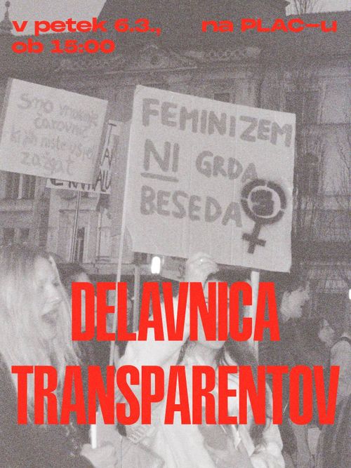 Delavnica transparentov