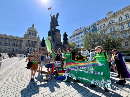VOLUNTEER WITH GREENPEACE 💚