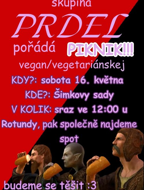 Piknik v Hradci