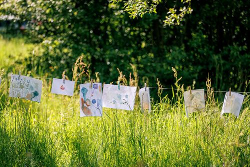 Mittwochstreff: Pflanzendrucke auf der Streuobstwiese
