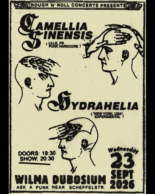 CAMELLIA SINENSIS + HYDRAHELIA